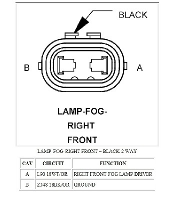 układ pinów lampy przeciwmgielna prawa Packa.jpg